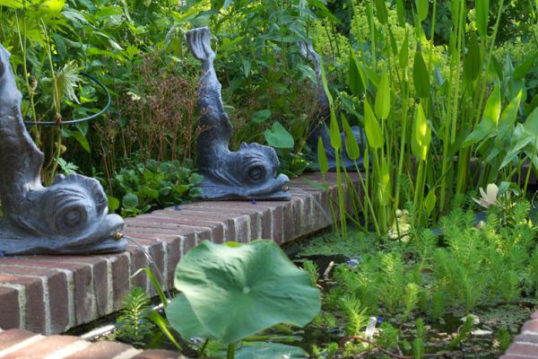 Professionell angelegtes Wasserspiel mit Teichpflanzen im Garten- und Landschaftsbau